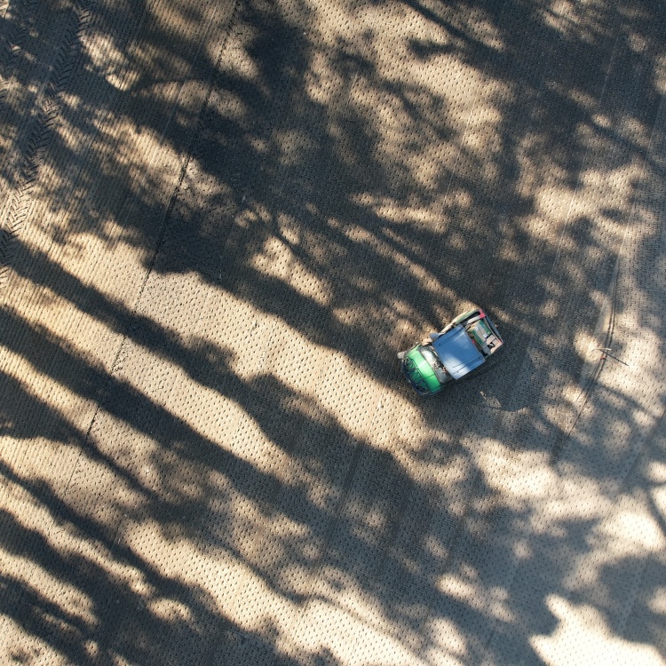 Karolinka Golf Park - seeding